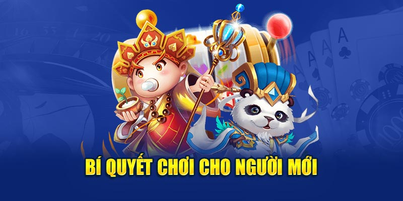  Bí quyết chơi cho người mới